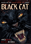 ׸  / Black Cat (2006)
